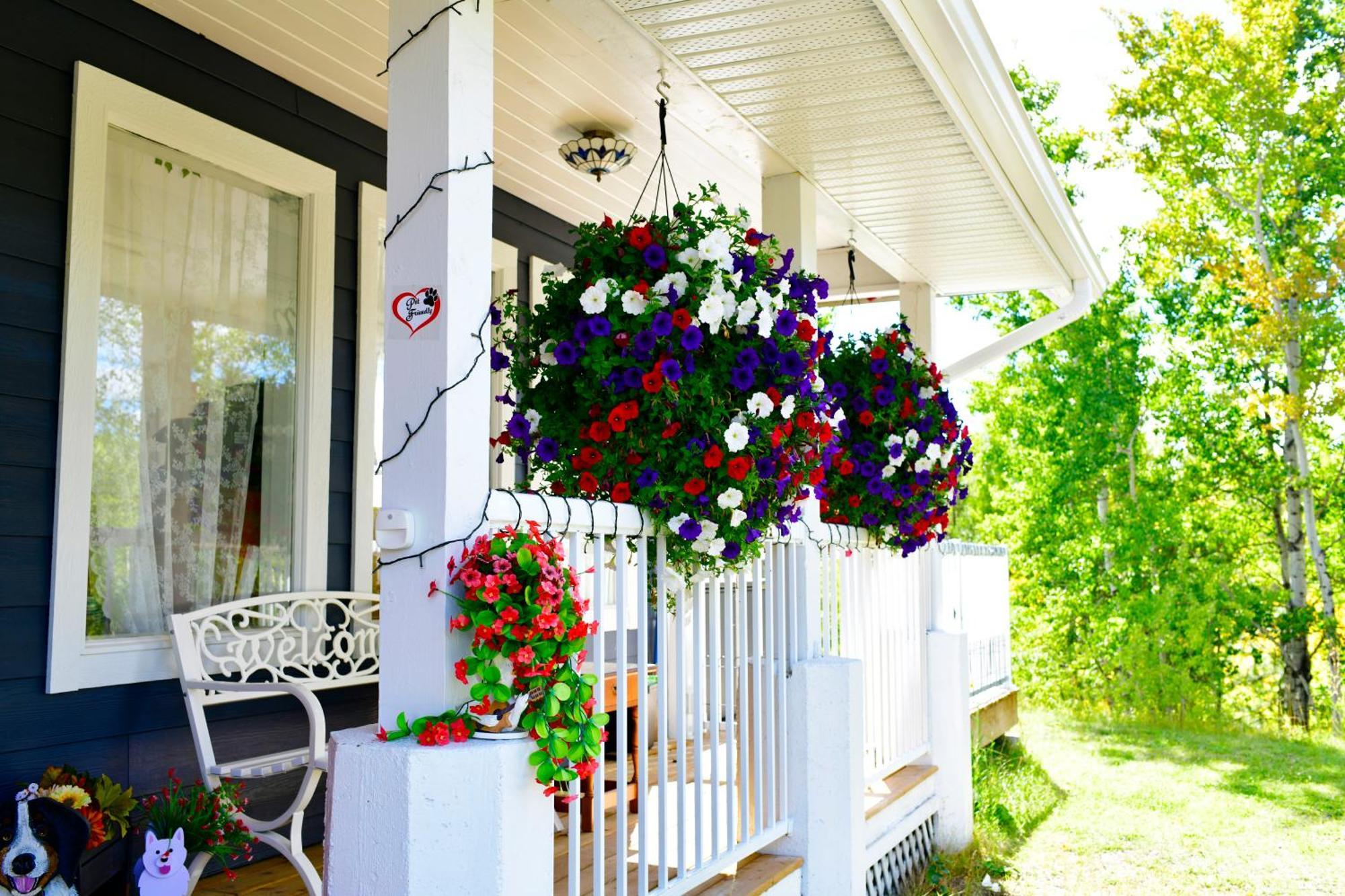 The Blue Cottage B&B Seventy Mile House Buitenkant foto